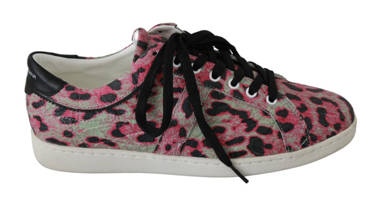 Dolce & Gabbana Multicolor Krokodilleder Sneakers