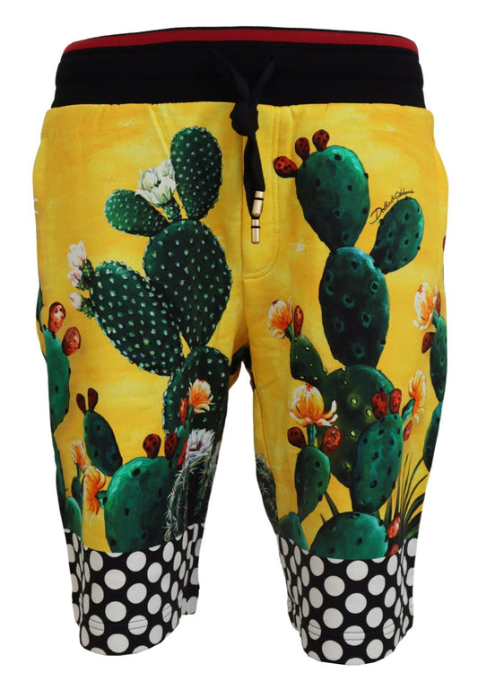 Dolce & Gabbana Sweatshorts Multicolor Kaktus-Print