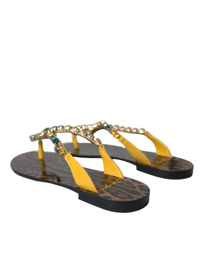 Dolce & Gabbana Senfgelbe Crystal Calf Leder Sandalen